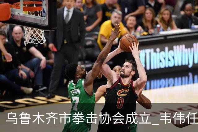 乌鲁木齐市拳击协会成立 韦伟任会长